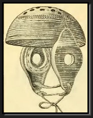 af_v3012026.jpg